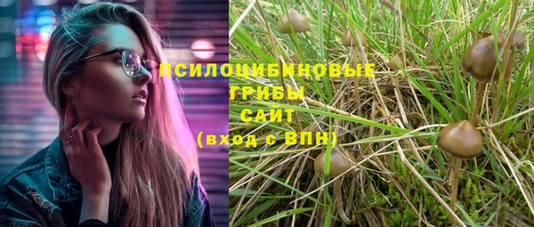тгк Михайлов