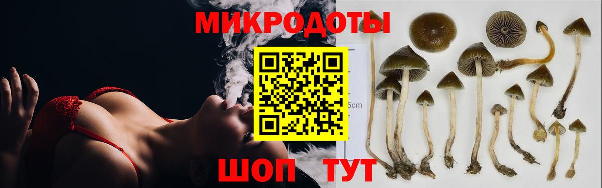 Псилоцибиновые грибы Psilocybine cubensis Кушва